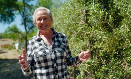 SLO County Open Farm Days shines a light on family farms and local agriculture
