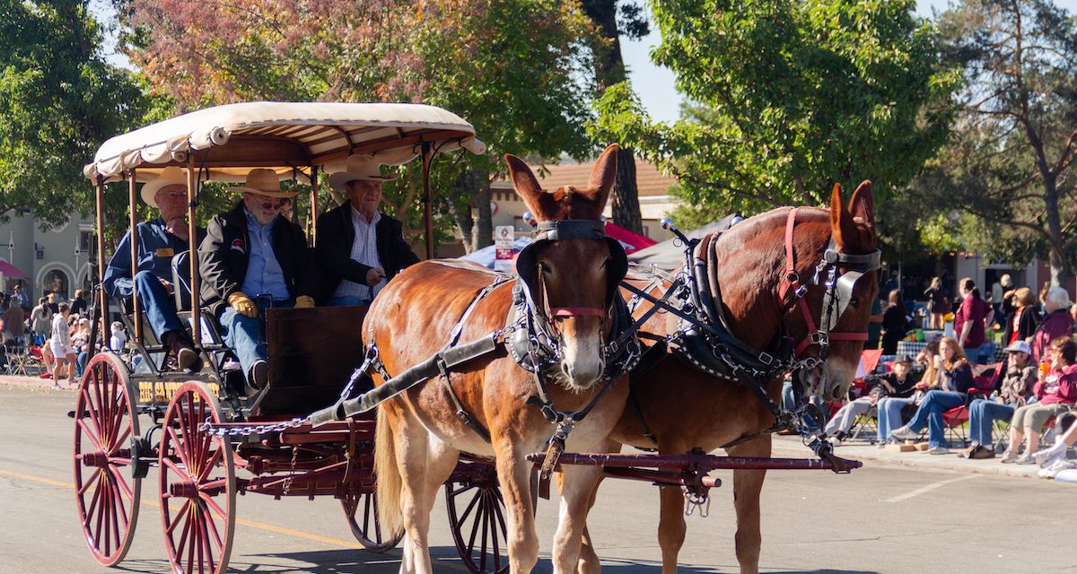 Celebrating 93 years of tradition and community at Pioneer Day