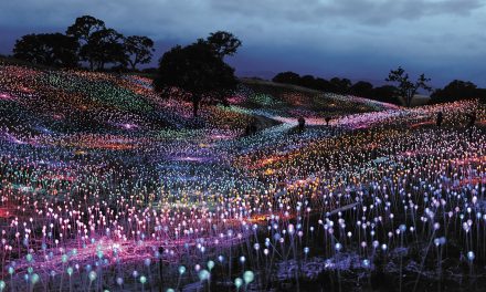 Sensorio Extends Field of Light Through June